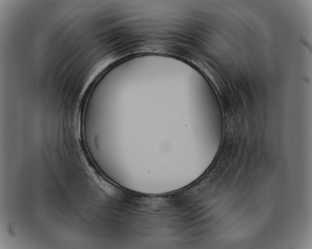 X0000091301131200708311331