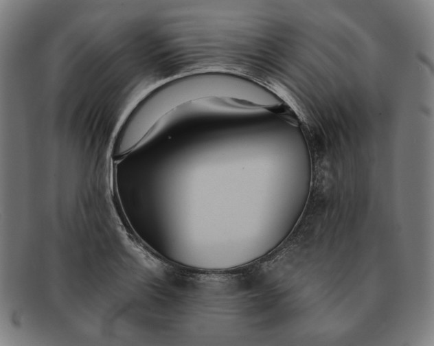 X0000091301132200708311331