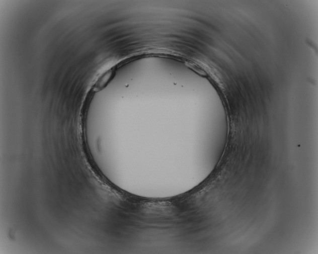 X0000091301133200708311331