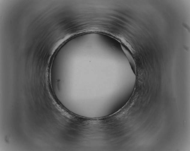 X0000091301134200708311331