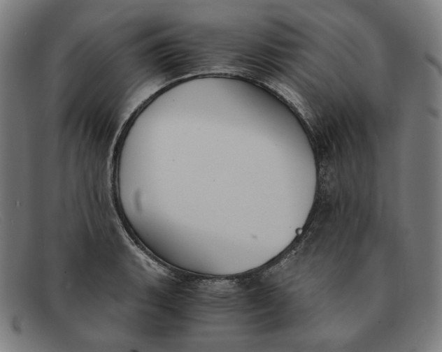 X0000091301135200708311331