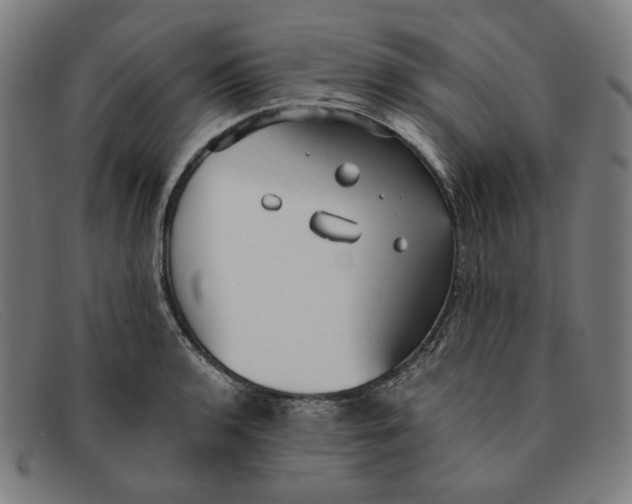 X0000091301136200708311331