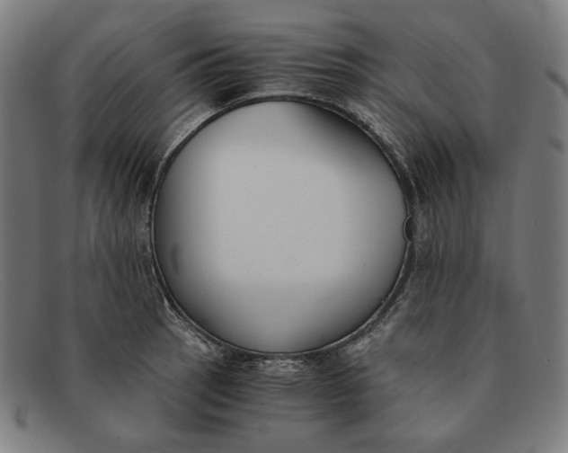 X0000091301137200708311332