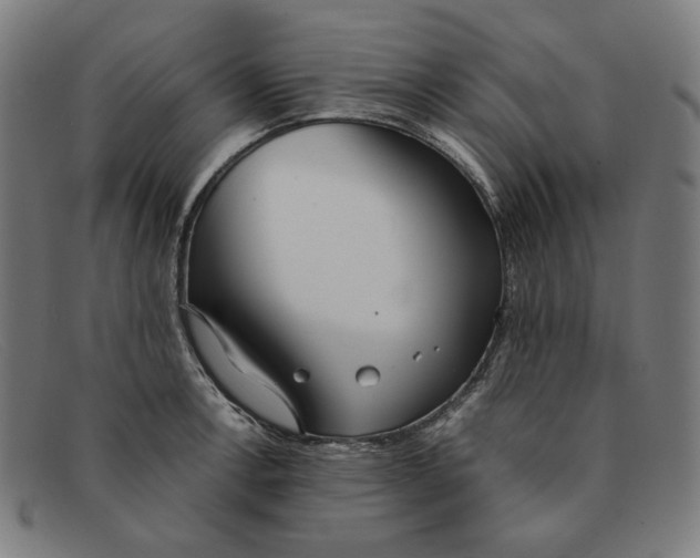 X0000091301138200708311332