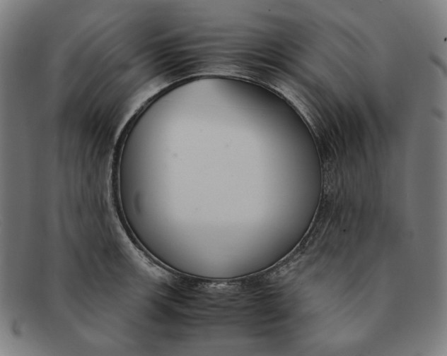 X0000091301139200708311332