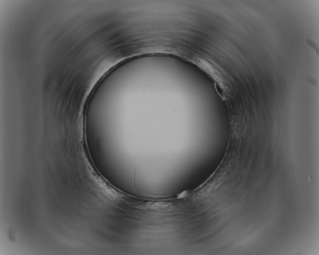 X0000091301140200708311332