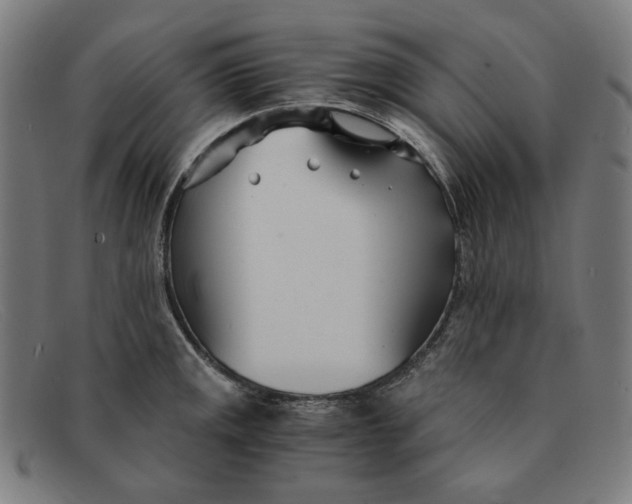 X0000091301141200708311332