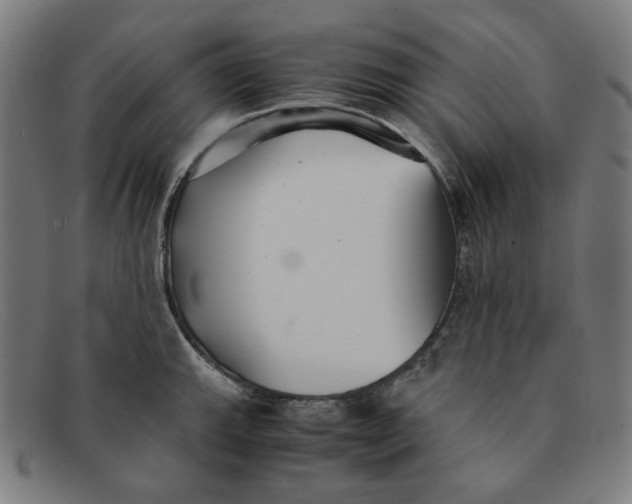 X0000091301143200708311332