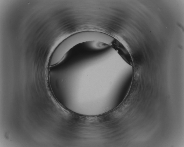 X0000091301144200708311332