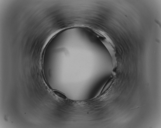 X0000091301148200708311332