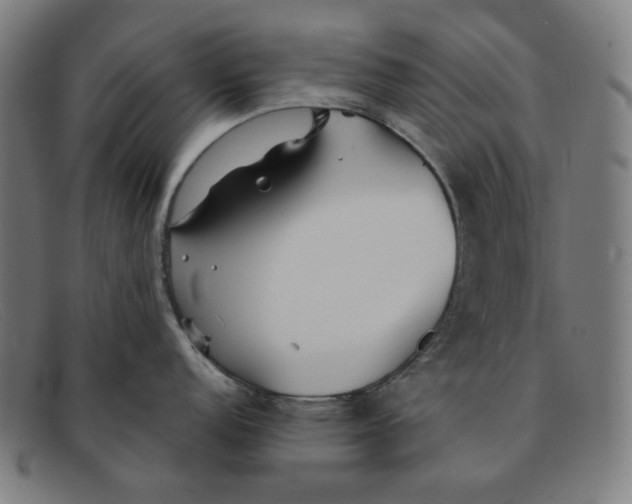 X0000091301152200708311332