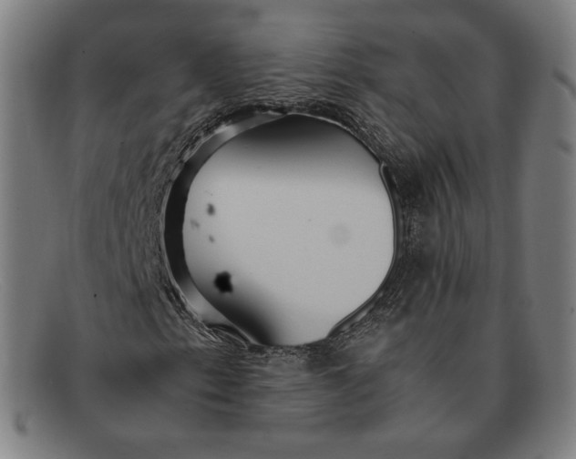 X0000091301153200708311331