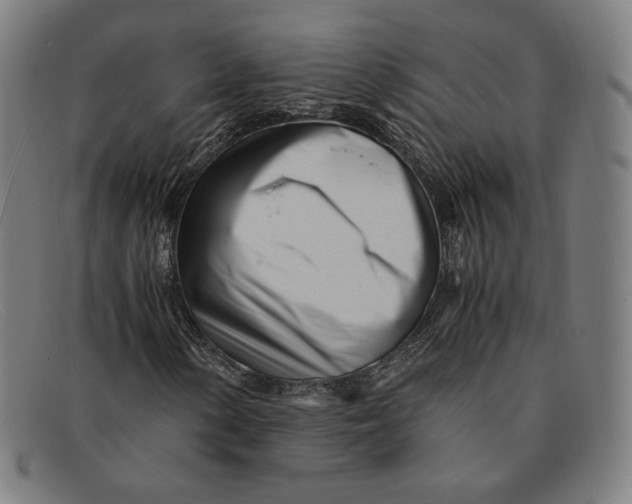 X0000091301154200708311331