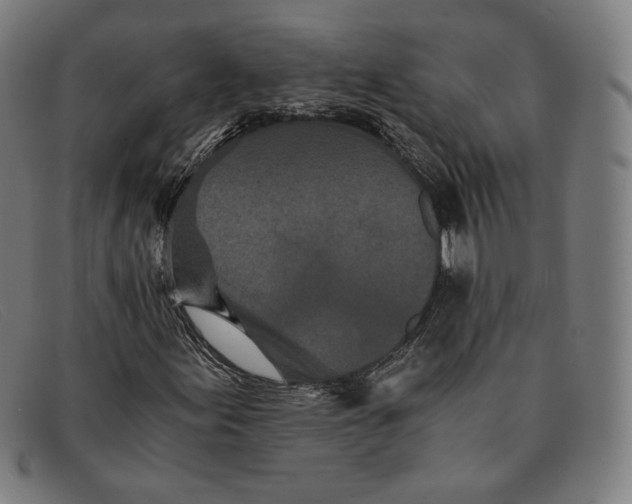 X0000091301155200708311331