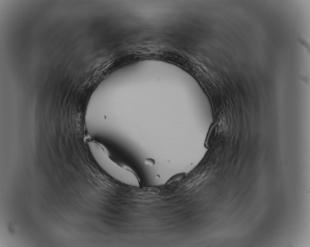 X0000091301156200708311331