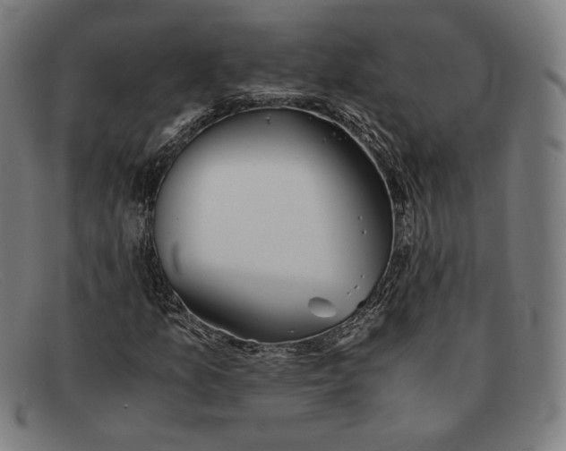 X0000091301157200708311331