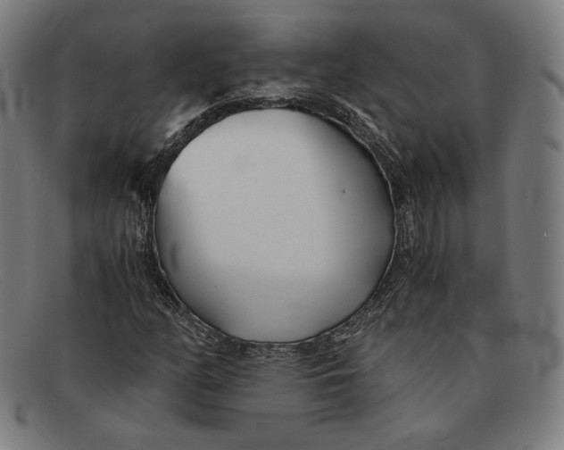 X0000091301158200708311331