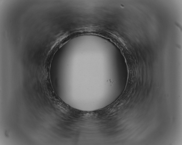 X0000091301160200708311331