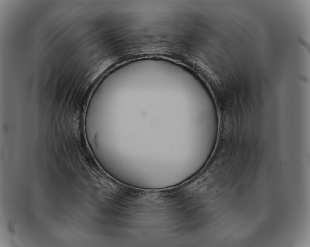 X0000091301162200708311331