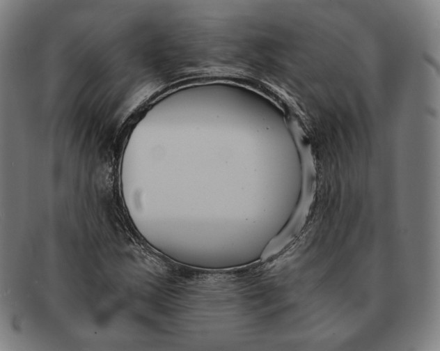 X0000091301163200708311331