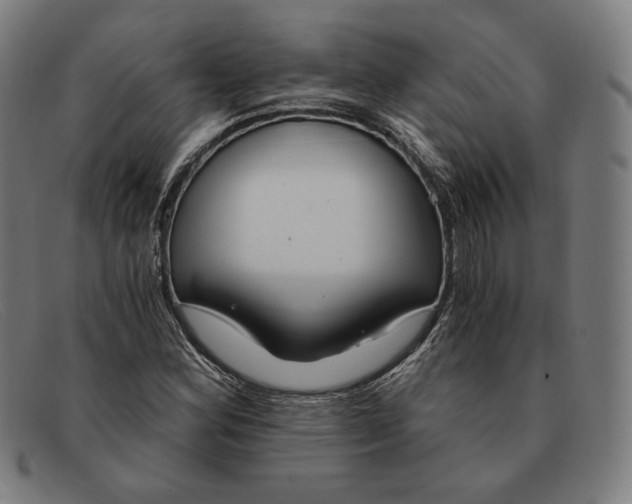 X0000091301164200708311331