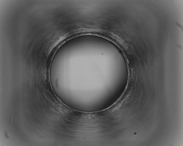 X0000091301165200708311331