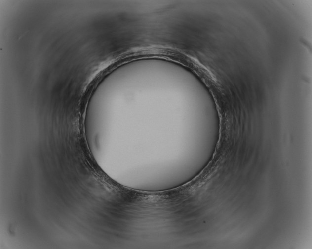 X0000091301166200708311331