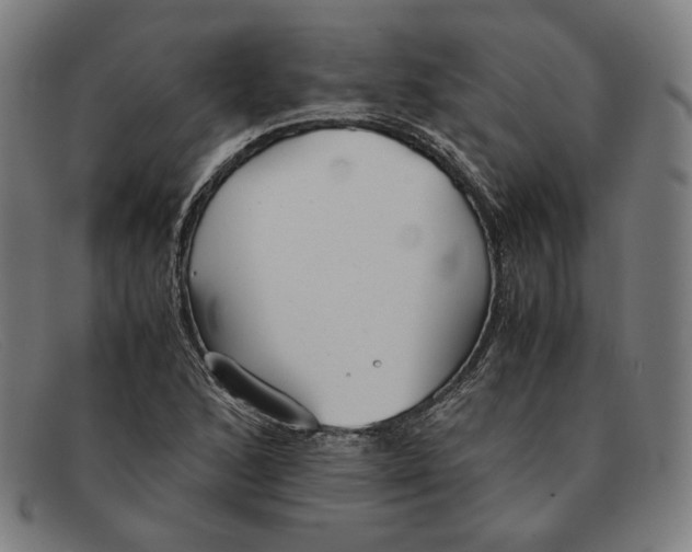 X0000091301168200708311331