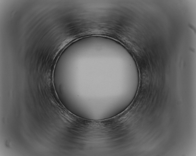 X0000091301170200708311331