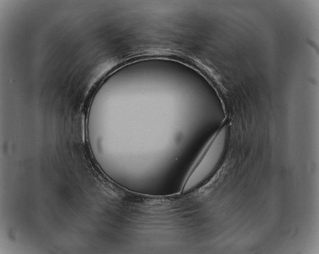 X0000091301171200708311331