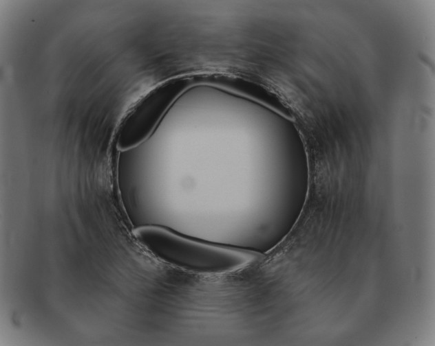 X0000091301172200708311331