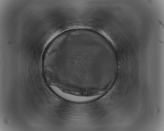 X0000091301173200708311331