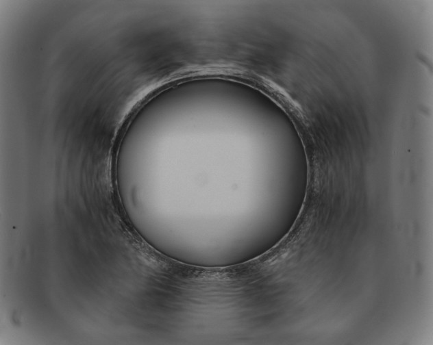 X0000091301174200708311331