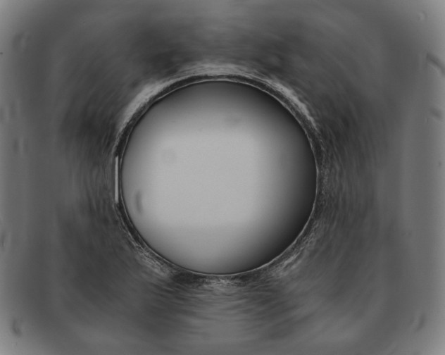 X0000091301175200708311331