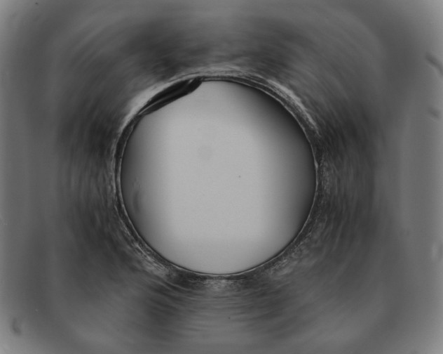 X0000091301176200708311331