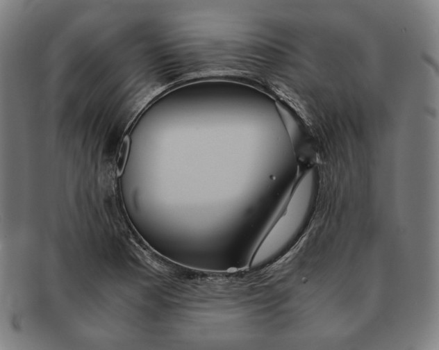 X0000091301177200708311331