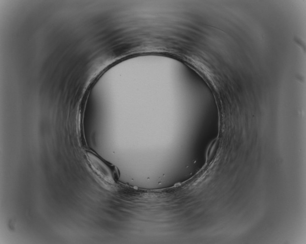 X0000091301179200708311331