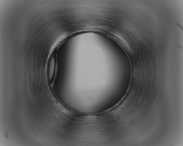 X0000091301180200708311331