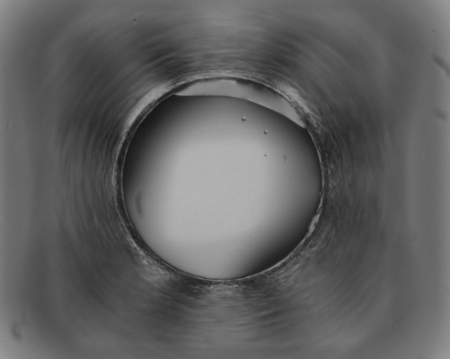 X0000091301181200708311331