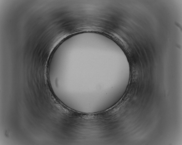 X0000091301182200708311331