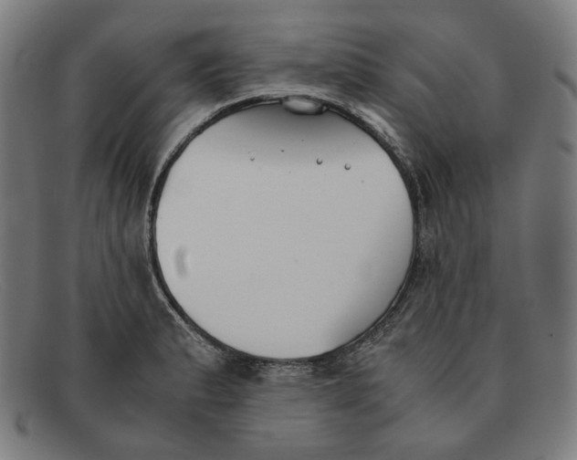 X0000091301183200708311331