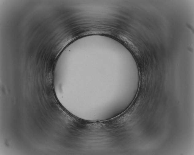 X0000091301185200708311331