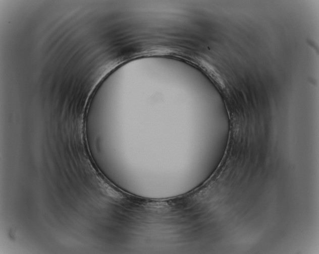 X0000091301186200708311331