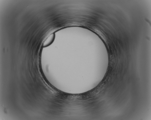 X0000091301187200708311331