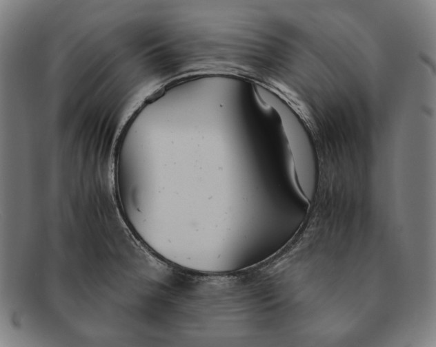 X0000091301188200708311331