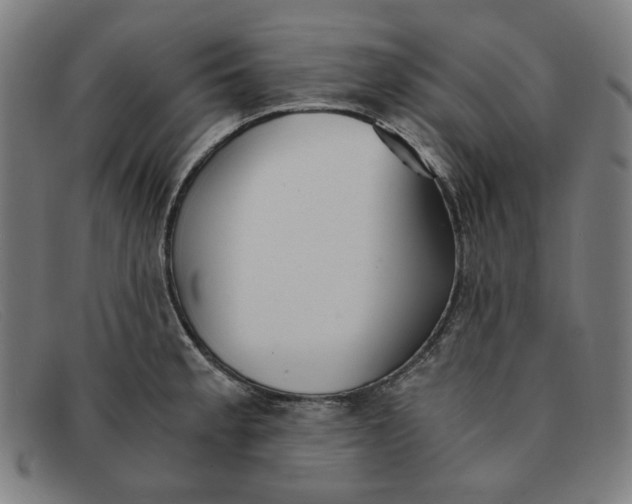 X0000091301189200708311331