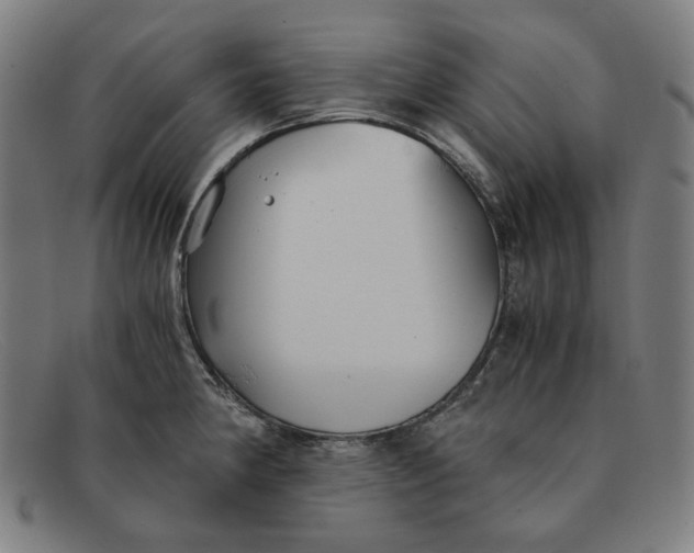 X0000091301190200708311331