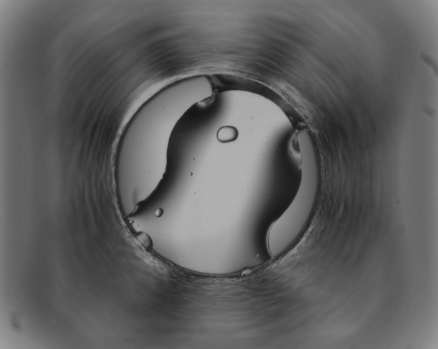 X0000091301192200708311330