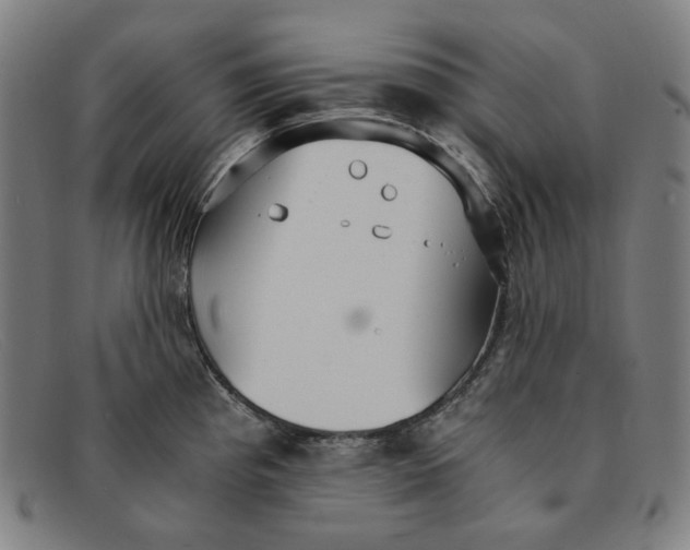 X0000091301193200708311330