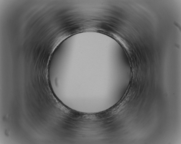 X0000091301194200708311330